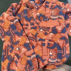 Patagonia Lightweight Synchilla Snap-T Pullover